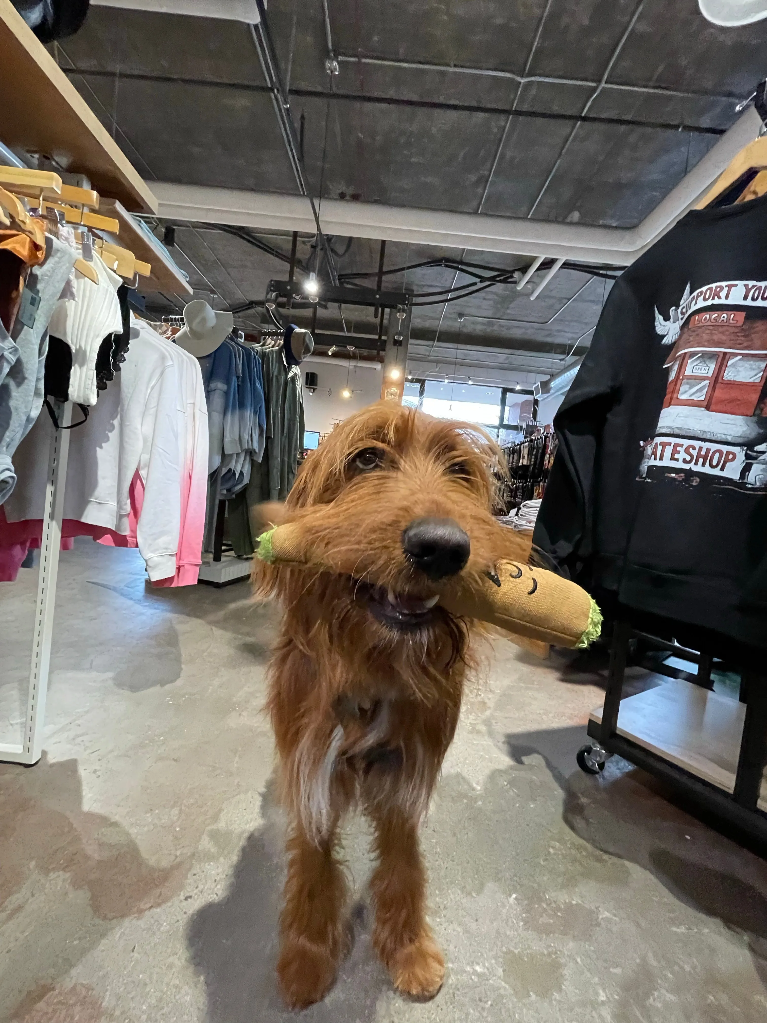 B the Blunt 420 Dog Toy