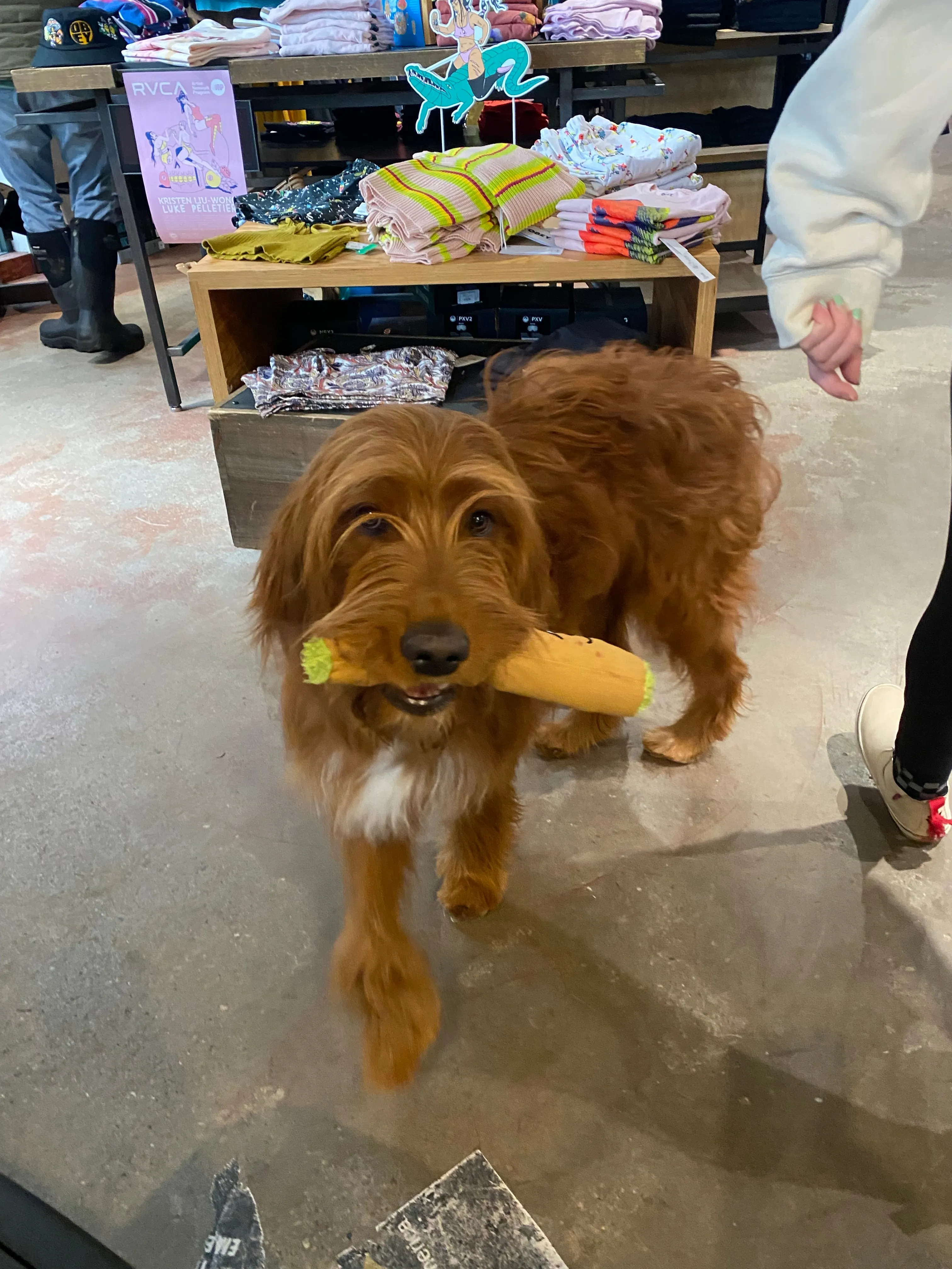 B the Blunt 420 Dog Toy