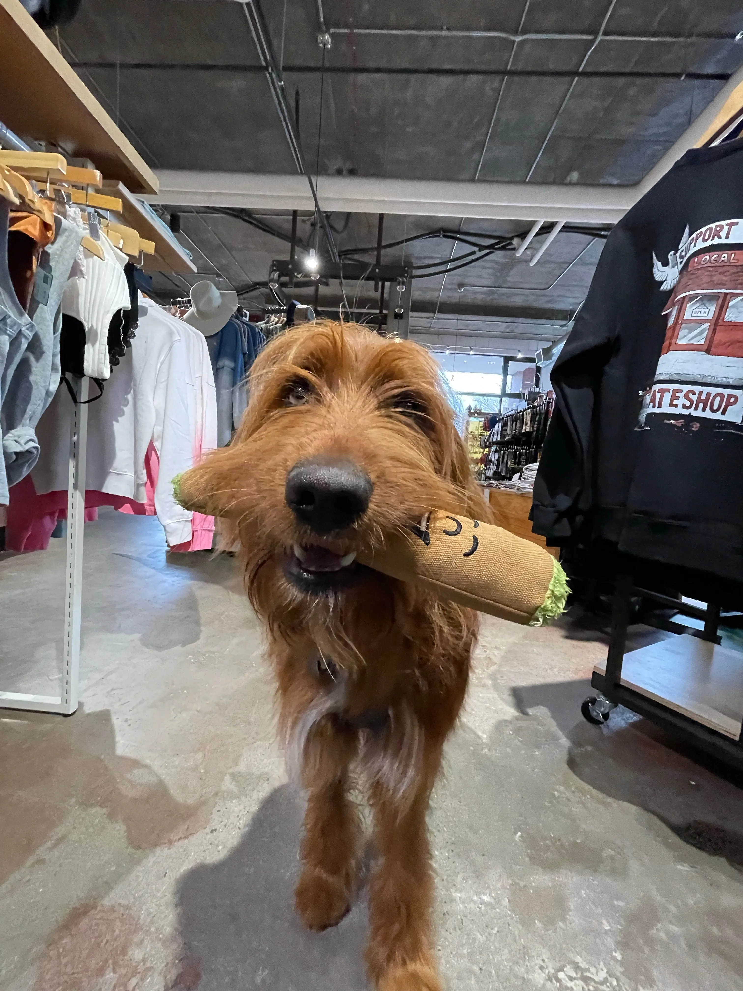 B the Blunt 420 Dog Toy