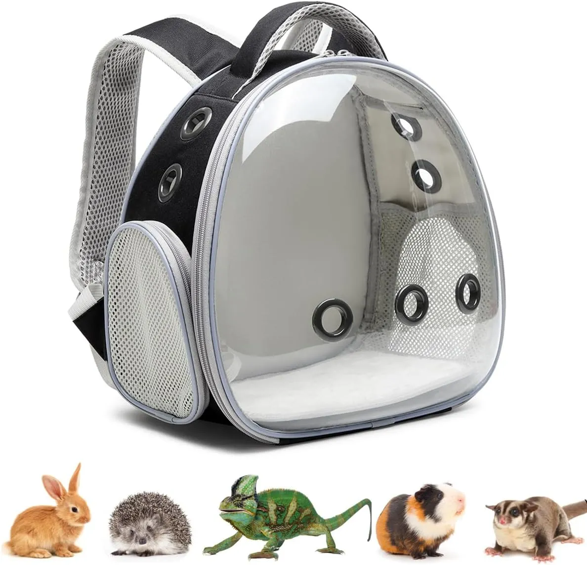Bearded Dragon Lizard Backpack Carrier with Harness and Leash Set, Small Animal Carrier Backpack, Space Capsule Bubble Window, Small Pet Carrier Backpack, Airline Approved (Black)