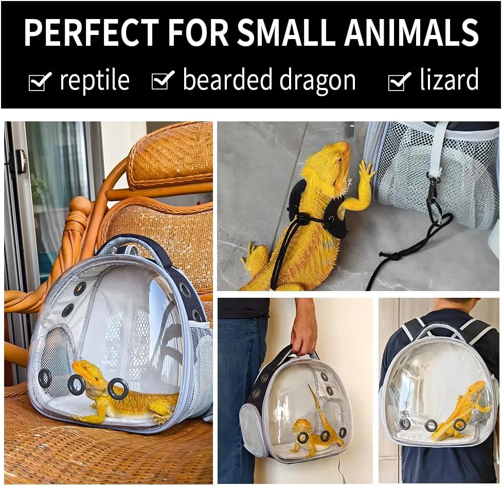 Bearded Dragon Lizard Backpack Carrier with Harness and Leash Set, Small Animal Carrier Backpack, Space Capsule Bubble Window, Small Pet Carrier Backpack, Airline Approved (Black)
