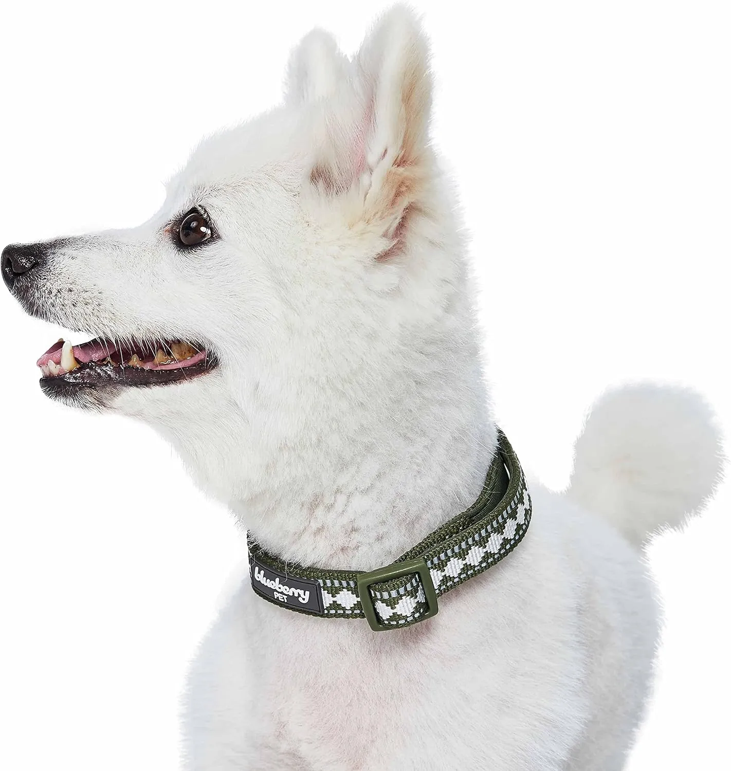 Blueberry Pet 3 Colors 3M Reflective Jacquard Neoprene Padded Adjustable Dog Collar, Olive, Small, Neck 12"-16"