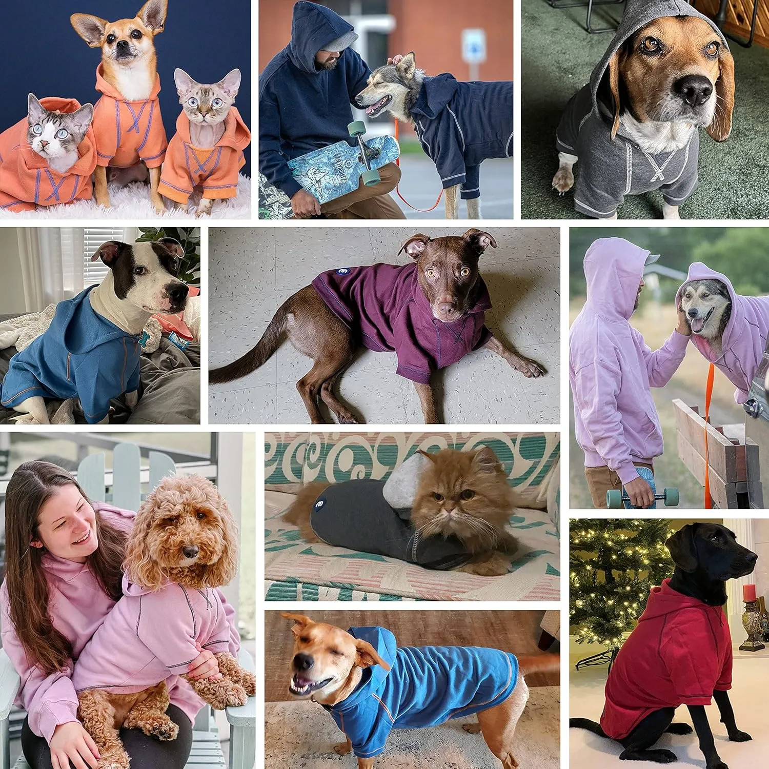 Blueberry Pet Essentials Soft & Comfy Better Basic Cotton Blend Dog Hoodie Sweatshirt in Charcoal Grey, Back Length 20", Pack of 1 Jacket for Dogs