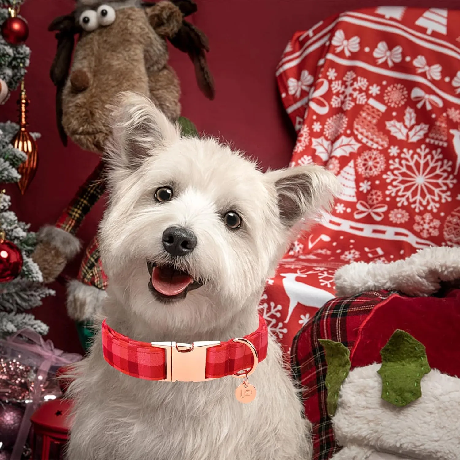 Christmas Dog Collar, Christmas Collar for Puppy Girl Boy Dog or Cat, Red Plaid Dog Collar with Durable Metal Buckle, Cute Pet Collar, S