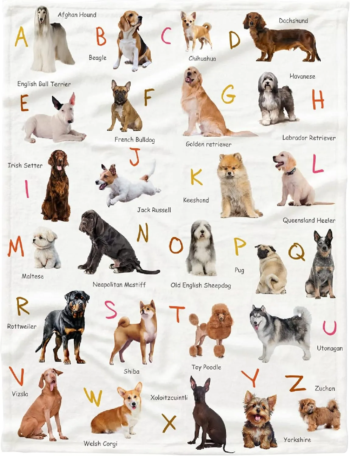 Dog Alphabet Print Blanket, Personalized Dachshund Blanket, Dog Gift for Dog Lovers Mom Dad Cute Dog Paw Prints Soft Flannel Throw Blanket for Bed Sofa Travel Extra Small 40''x30'' for Pet