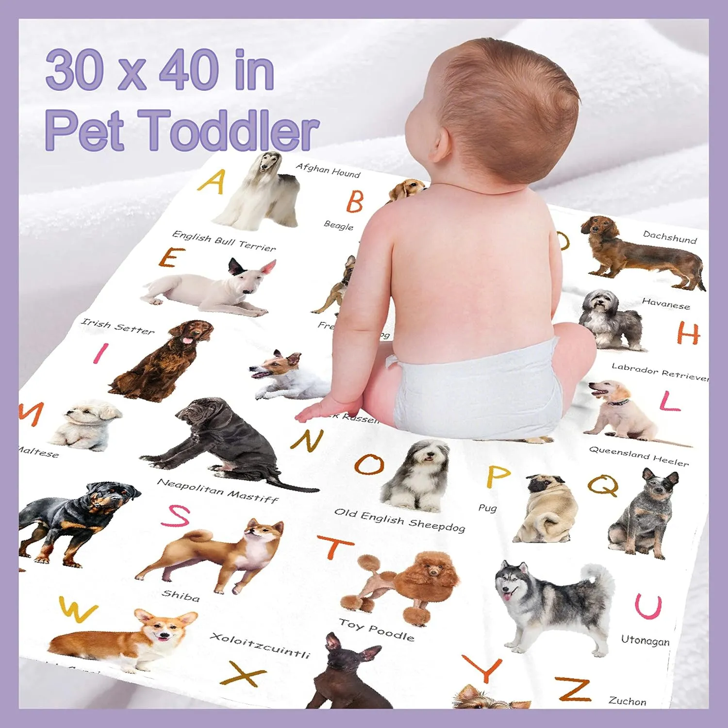Dog Alphabet Print Blanket, Personalized Dachshund Blanket, Dog Gift for Dog Lovers Mom Dad Cute Dog Paw Prints Soft Flannel Throw Blanket for Bed Sofa Travel Extra Small 40''x30'' for Pet