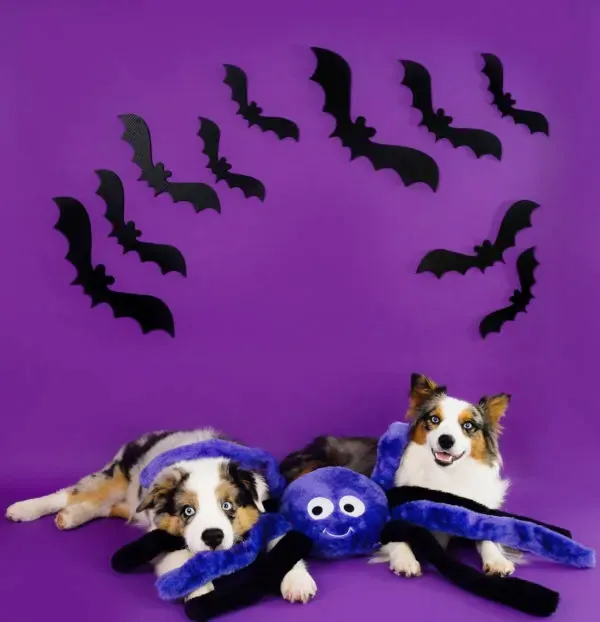 Dog Grunting Crinkly Toy, Halloween Grunterz Spiderz