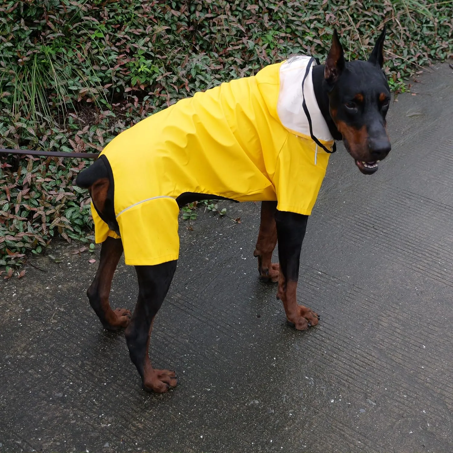 Four-Legged Full Coverage Waterproof Dog Raincoat with Reflective Features Pet Raincoats for Large Medium Small Dogs Yellow L