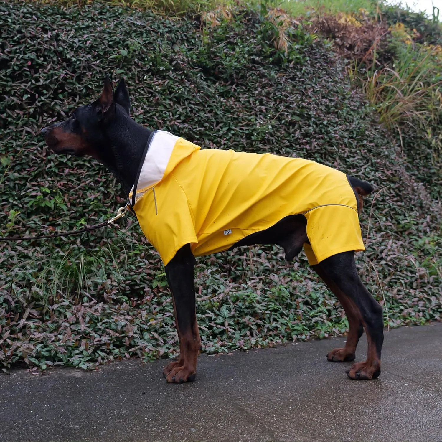 Four-Legged Full Coverage Waterproof Dog Raincoat with Reflective Features Pet Raincoats for Large Medium Small Dogs Yellow L