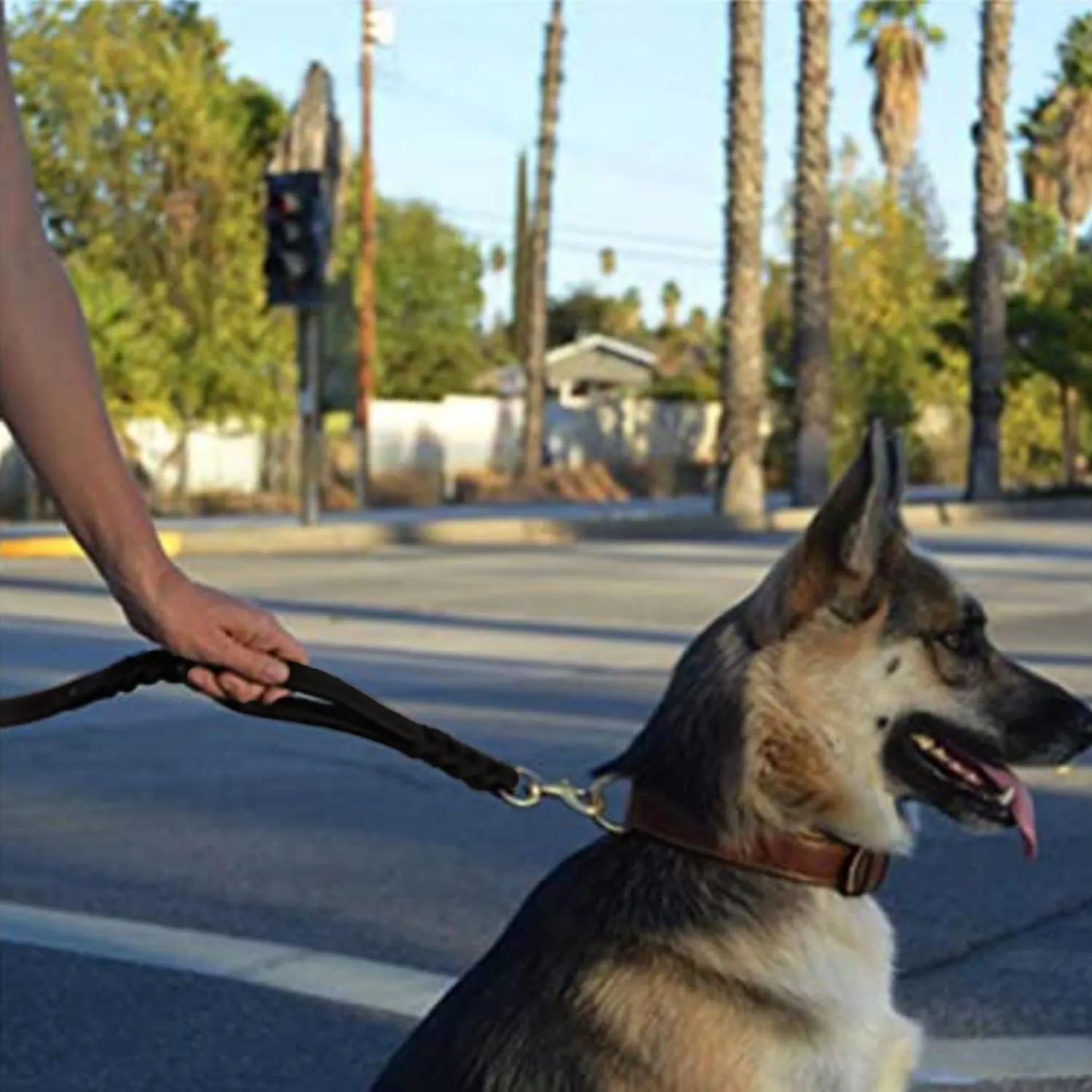 Guiding Star Double Handle Leather Dog Leash 6ft, Heavy Duty Braided Dog Leash with Traffic Handle for Small Medium & Large Dogs (Black, 6ft x 5/8 inch)