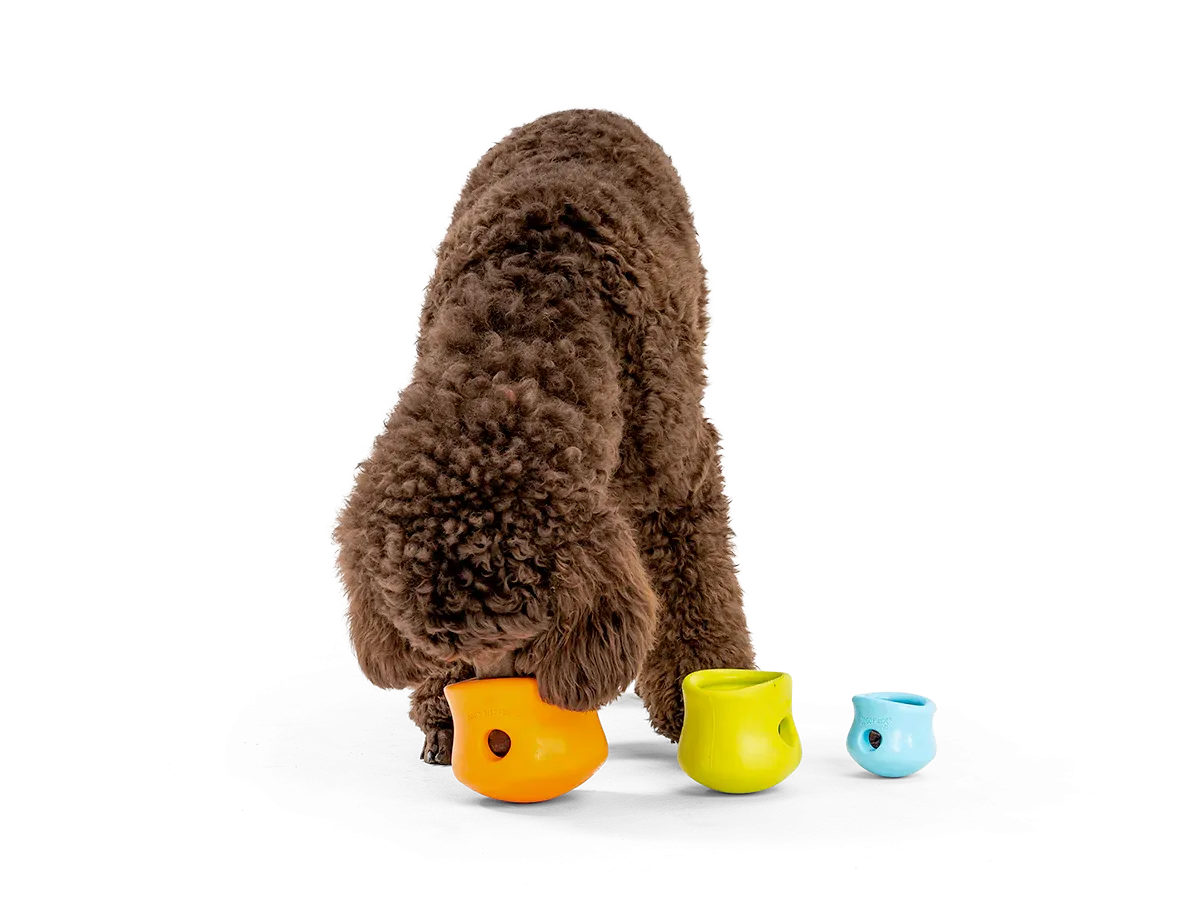 Interactive puzzle, food-dispensing dog toy, Zogoflex Toppl