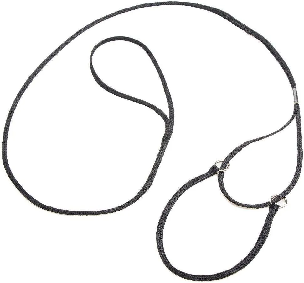 Mendota Pet Petite Martingale Lead (Nylon) - Dog Leash & Collar Combo - Made in The USA - Brown, 1/4 in x 12 in (Medium)