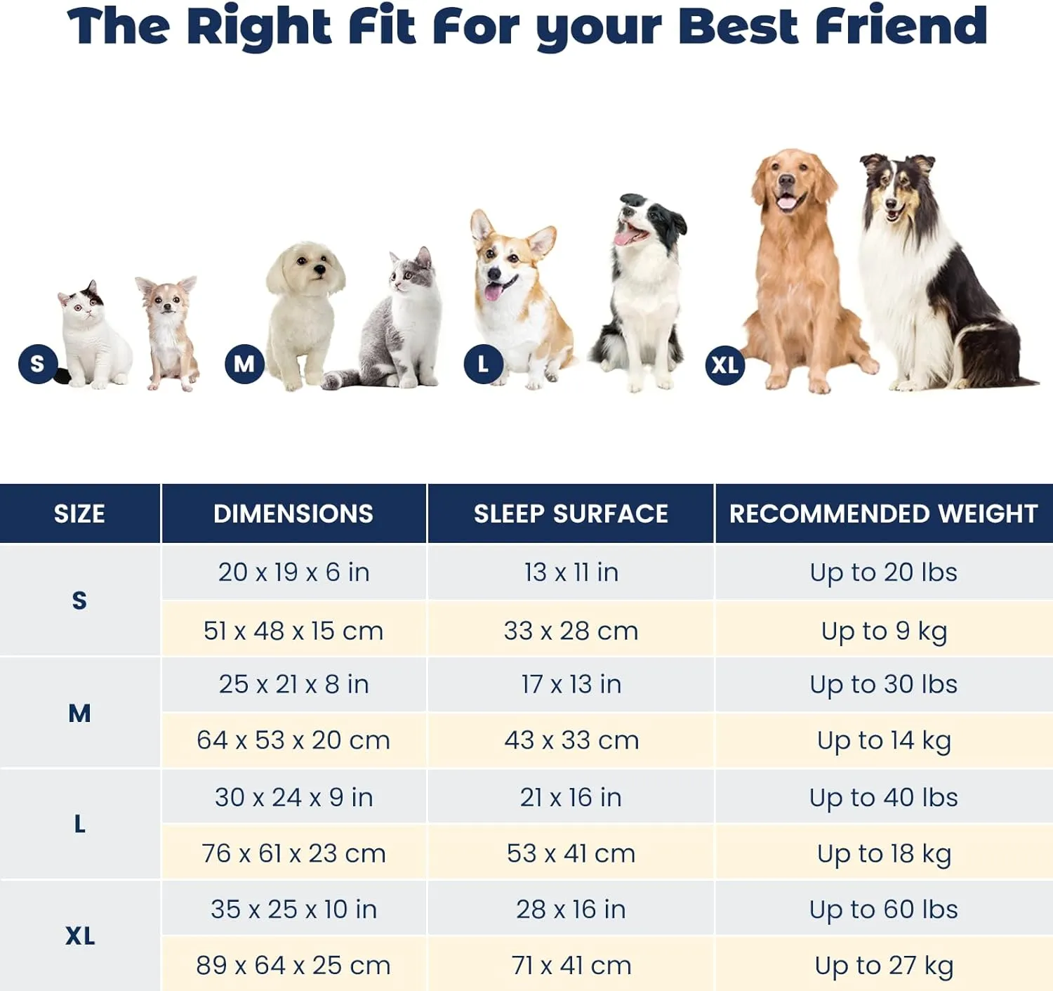 Miguel Medium Small Dog Bed with Washable Removable Cover - Rectangle Pet Bed for Indoor Cats with Bolster Soft Cuddle Bed for Puppies with Supportive Side Wall Slip-Resistant Bottom, Blue 25 Inches