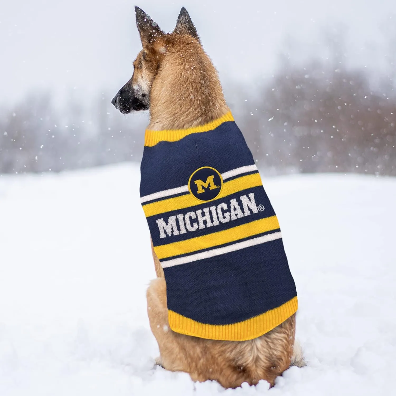 NCAA Michigan Wolverines Dog Sweater, Size Medium. Warm and Cozy Knit Pet Sweater with NCAA Team Logo, Best Puppy Sweater for Large and Small Dogs