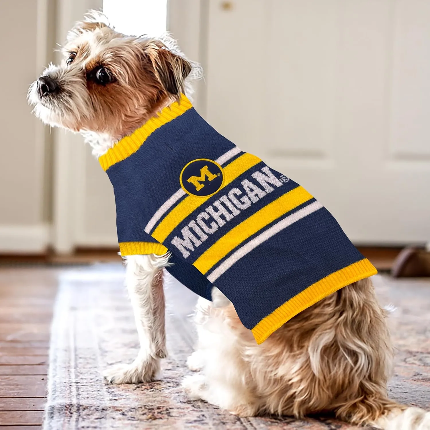 NCAA Michigan Wolverines Dog Sweater, Size Medium. Warm and Cozy Knit Pet Sweater with NCAA Team Logo, Best Puppy Sweater for Large and Small Dogs