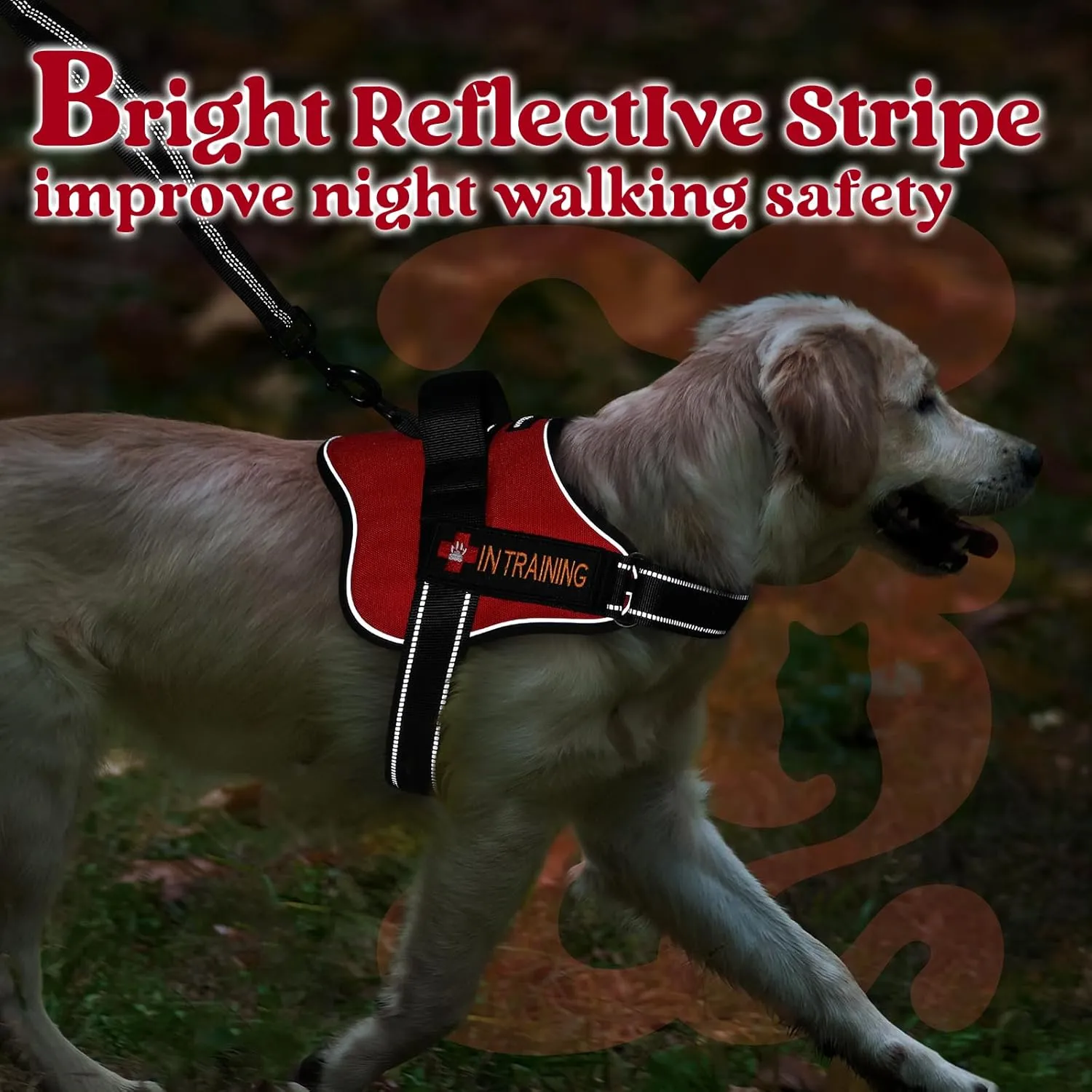 rabbitgoo Dog Harness Small Sized, No Pull No Choke Pet Vest, Easy Wearing with One Buckle, Reflective, Adjustable Pet Harness with Molle for Walking, Training, Red, S
