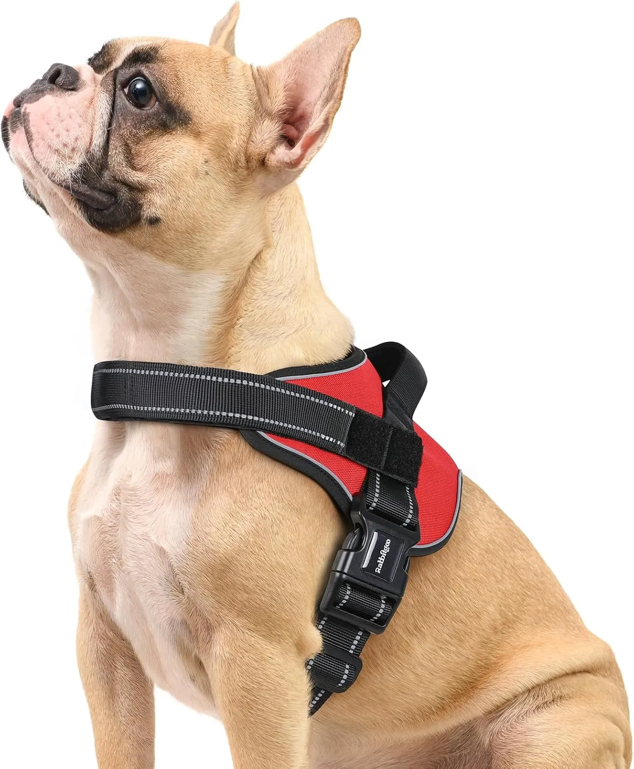 rabbitgoo Dog Harness Small Sized, No Pull No Choke Pet Vest, Easy Wearing with One Buckle, Reflective, Adjustable Pet Harness with Molle for Walking, Training, Red, S