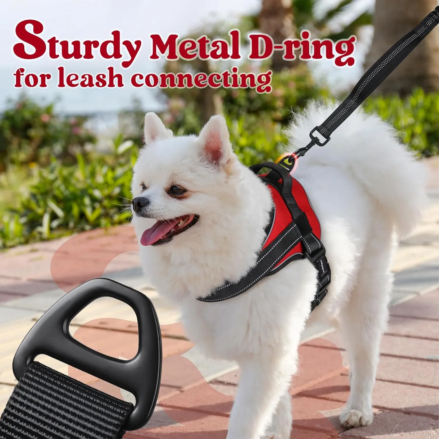 rabbitgoo Dog Harness Small Sized, No Pull No Choke Pet Vest, Easy Wearing with One Buckle, Reflective, Adjustable Pet Harness with Molle for Walking, Training, Red, S