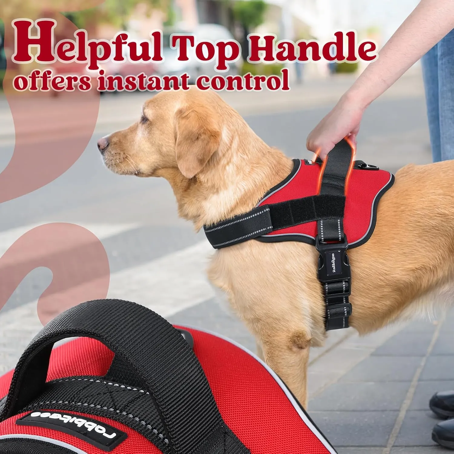 rabbitgoo Dog Harness Small Sized, No Pull No Choke Pet Vest, Easy Wearing with One Buckle, Reflective, Adjustable Pet Harness with Molle for Walking, Training, Red, S