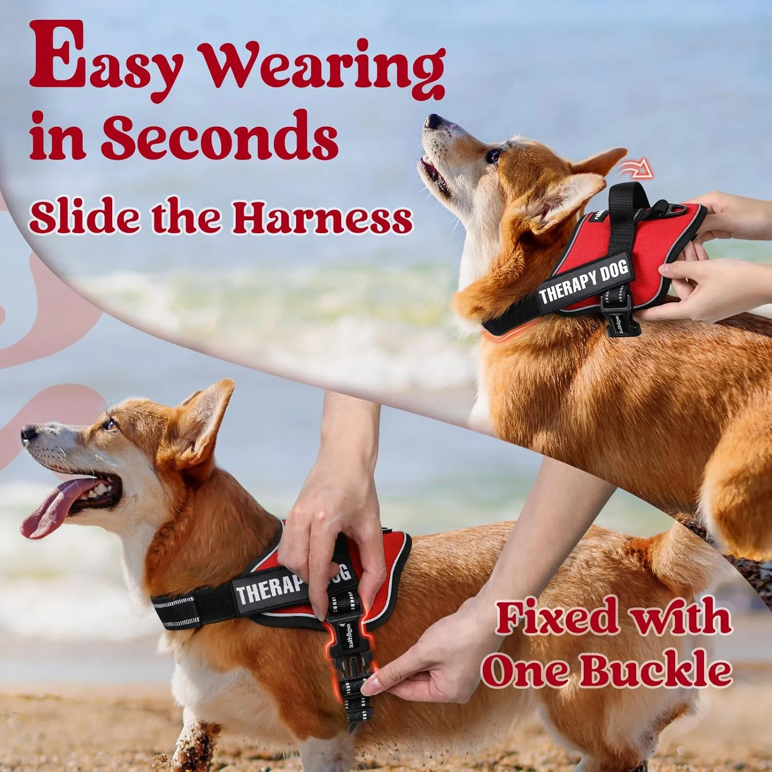 rabbitgoo Dog Harness Small Sized, No Pull No Choke Pet Vest, Easy Wearing with One Buckle, Reflective, Adjustable Pet Harness with Molle for Walking, Training, Red, S
