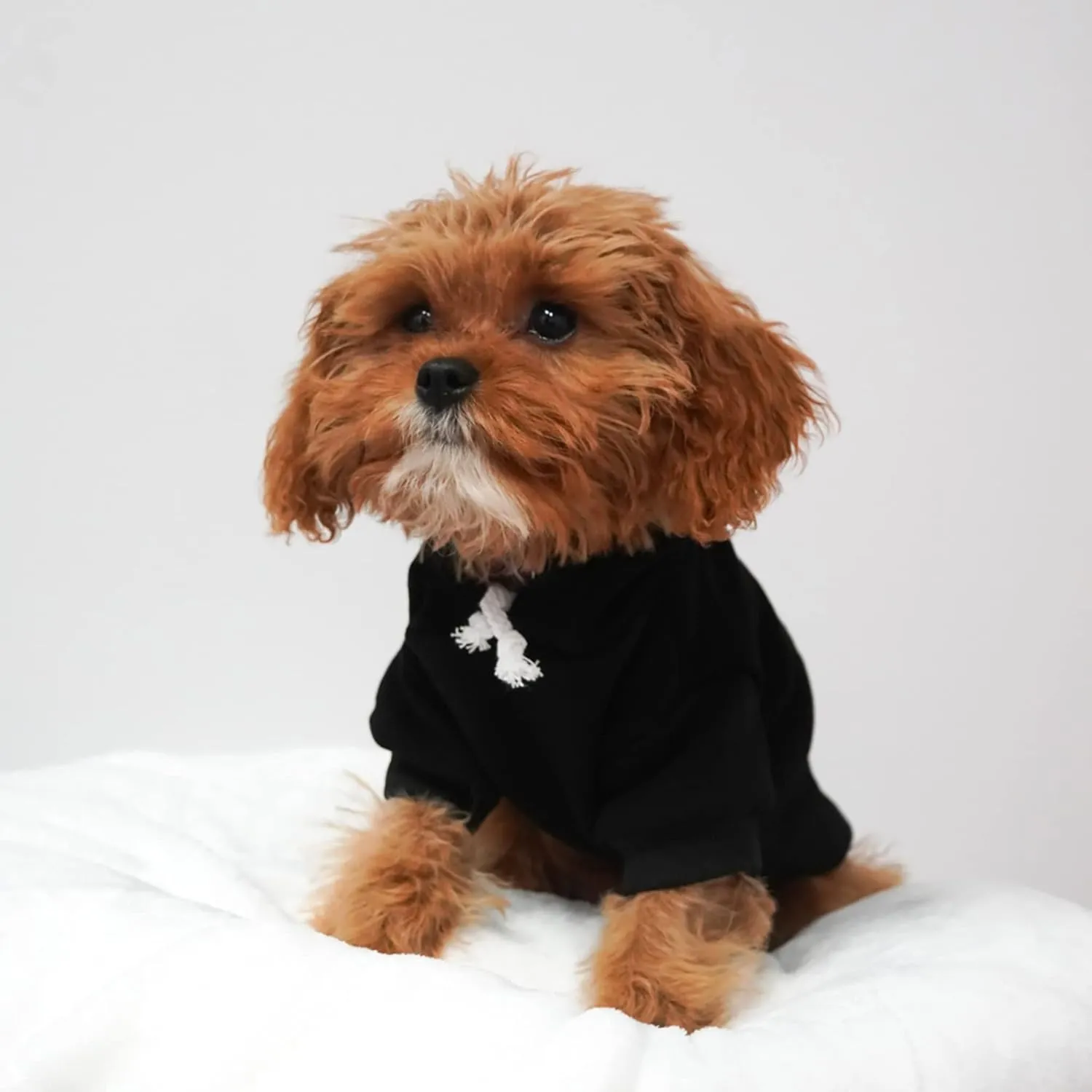 Real Heroes Wear Scrubs Dog Hoodie Fleece Lined Pullover Sweatshirt with Leash Hole (Black, Medium 1014)