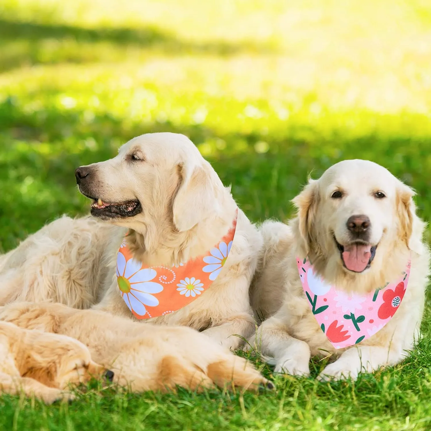 Weewooday 8 Pieces Dog Bandanas for Summer Flower Print Triangle Bibs Floral Puppy Scarf Kerchief Accessories for Dogs Cats Pets(L, Summer Flower)